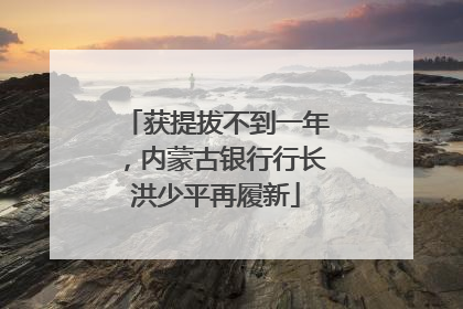 获提拔不到一年，内蒙古银行行长洪少平再履新
