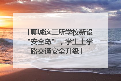 聊城这三所学校新设“安全岛”，学生上学路交通安全升级