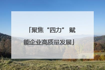聚焦“四力” 赋能企业高质量发展