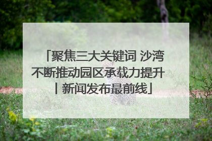 聚焦三大关键词 沙湾不断推动园区承载力提升丨新闻发布最前线