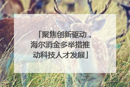 聚焦创新驱动，海尔消金多举措推动科技人才发展