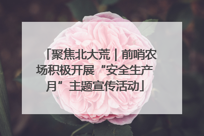 聚焦北大荒｜前哨农场积极开展“安全生产月”主题宣传活动