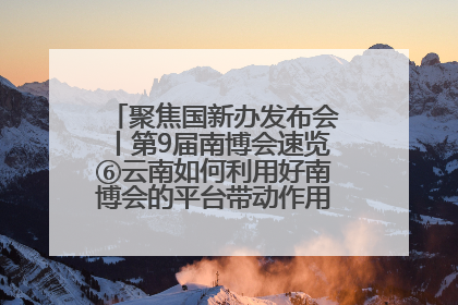 聚焦国新办发布会丨第9届南博会速览⑥云南如何利用好南博会的平台带动作用，深化与南亚国家的交流与合作？