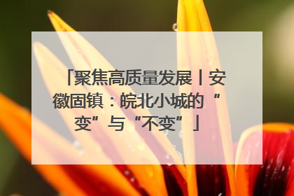 聚焦高质量发展丨安徽固镇：皖北小城的“变”与“不变”