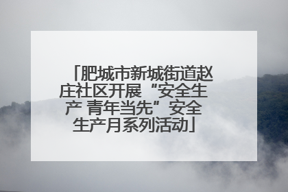 肥城市新城街道赵庄社区开展“安全生产 青年当先”安全生产月系列活动