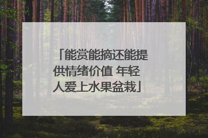 能赏能摘还能提供情绪价值 年轻人爱上水果盆栽
