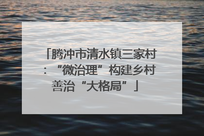 腾冲市清水镇三家村：“微治理”构建乡村善治“大格局”