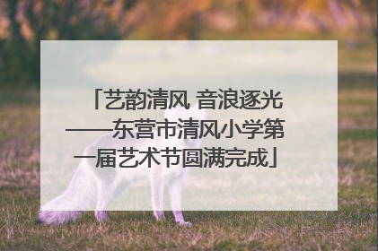 艺韵清风 音浪逐光——东营市清风小学第一届艺术节圆满完成