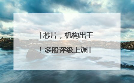 芯片，机构出手！多股评级上调