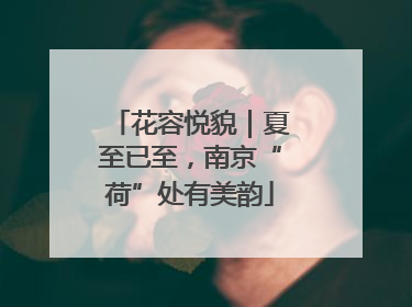 花容悦貌｜夏至已至，南京“荷”处有美韵
