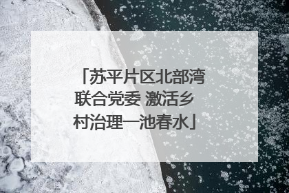 苏平片区北部湾联合党委 激活乡村治理一池春水