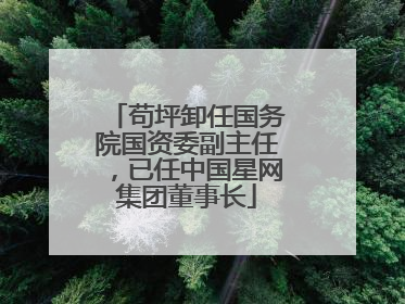 苟坪卸任国务院国资委副主任，已任中国星网集团董事长