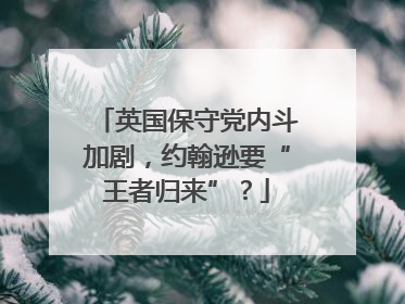 英国保守党内斗加剧，约翰逊要“王者归来”？