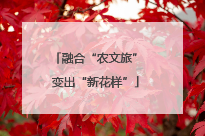 融合“农文旅” 变出“新花样”