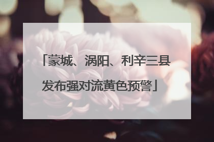 蒙城、涡阳、利辛三县发布强对流黄色预警