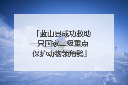 蓝山县成功救助一只国家二级重点保护动物领角鸮