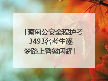 蔡甸公安全程护考 3493名考生逐梦路上警徽闪耀
