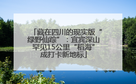 藏在四川的现实版“绿野仙踪”：宜宾深山罕见15公里“稻海”成打卡新地标