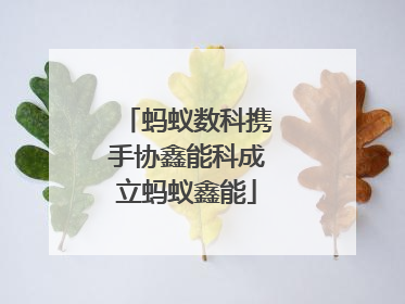 蚂蚁数科携手协鑫能科成立蚂蚁鑫能