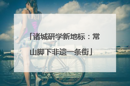 诸城研学新地标：常山脚下非遗一条街