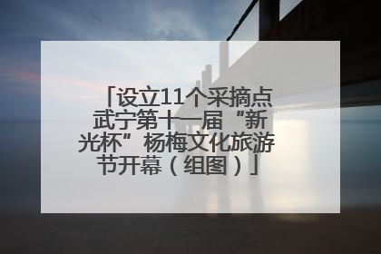 设立11个采摘点 武宁第十一届“新光杯”杨梅文化旅游节开幕（组图）