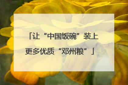 让“中国饭碗”装上更多优质“邓州粮”