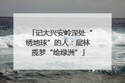 记大兴安岭深处“绣地球”的人：层林揽梦“绘绿洲”