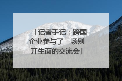 记者手记：跨国企业参与了一场别开生面的交流会