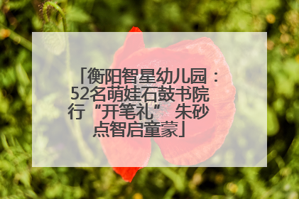 衡阳智星幼儿园：52名萌娃石鼓书院行“开笔礼” 朱砂点智启童蒙