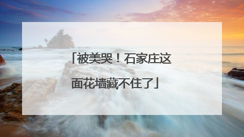 被美哭！石家庄这面花墙藏不住了