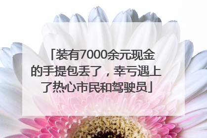 装有7000余元现金的手提包丢了，幸亏遇上了热心市民和驾驶员