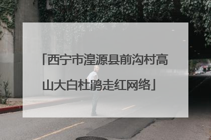 西宁市湟源县前沟村高山大白杜鹃走红网络