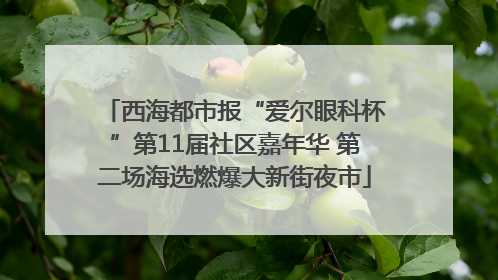 西海都市报“爱尔眼科杯”第11届社区嘉年华 第二场海选燃爆大新街夜市