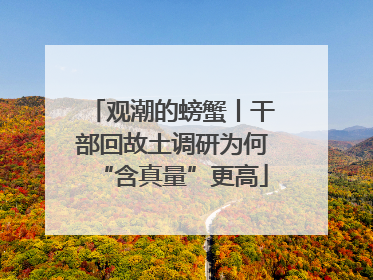 观潮的螃蟹丨干部回故土调研为何“含真量”更高