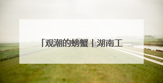 观潮的螃蟹丨湖南工程机械“双城记”