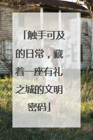 触手可及的日常，藏着一座有礼之城的文明密码