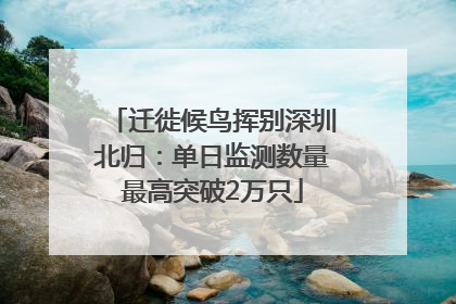 迁徙候鸟挥别深圳北归：单日监测数量最高突破2万只