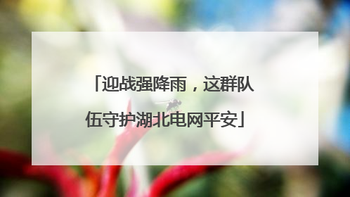 迎战强降雨，这群队伍守护湖北电网平安
