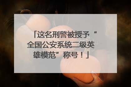 这名刑警被授予“全国公安系统二级英雄模范”称号！