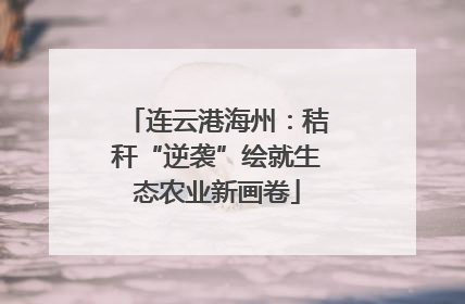 连云港海州：秸秆“逆袭”绘就生态农业新画卷