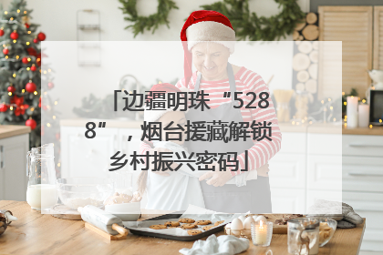 边疆明珠“5288”，烟台援藏解锁乡村振兴密码