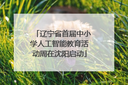 辽宁省首届中小学人工智能教育活动周在沈阳启动