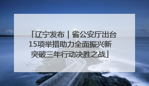 辽宁发布｜省公安厅出台15项举措助力全面振兴新突破三年行动决胜之战