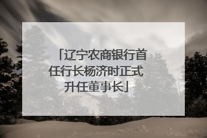 辽宁农商银行首任行长杨济时正式升任董事长