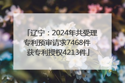 辽宁：2024年共受理专利预审请求7468件 获专利授权4213件