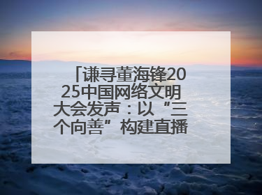 谦寻董海锋2025中国网络文明大会发声：以“三个向善”构建直播电商善意长河