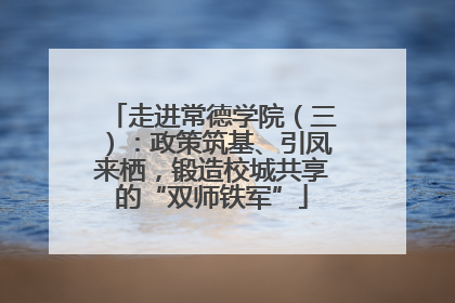 走进常德学院（三）：政策筑基、引凤来栖，锻造校城共享的“双师铁军”