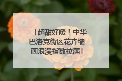超甜好暖！中华巴洛克街区花卉墙画浪漫指数拉满