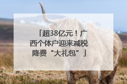超38亿元！广西个体户迎来减税降费“大礼包”