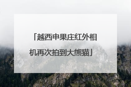 越西申果庄红外相机再次拍到大熊猫